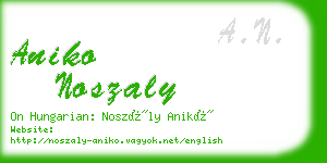 aniko noszaly business card